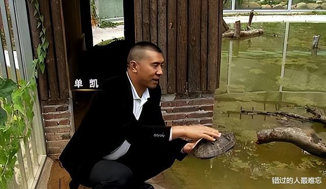 男子花百万买下三只臭龟,别人都笑他傻,谁知道四年后却靠龟翻身