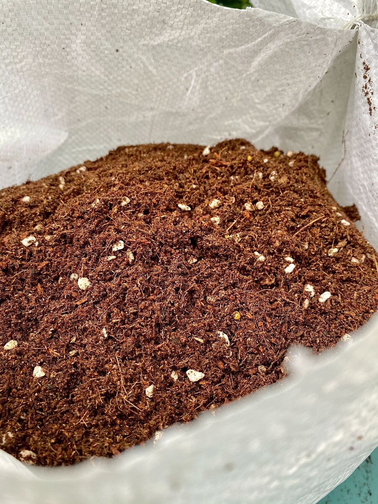 20㎡一楼小院,DIY打造杂货花园,倒腾了一年时间,如今又仙又美