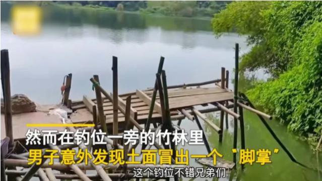 揭阳|广东揭阳，一男子到竹林野钓，发现一个很好的钓位，便想在此钓鱼