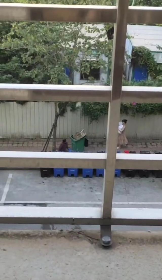 实在太浪费了,男子为其妻子准备礼物,一个转身却被当成垃圾扔掉