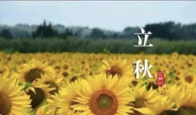 8月7日立秋,俗话说“早立秋冷嗖嗖,晚立秋热死牛”,啥意思?