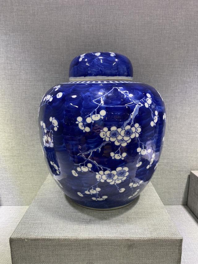 光绪|傲雪凌霜——清代各式冰梅瓷器赏析