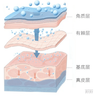 礼服 孙俪化妆台物品曝光，“健身护肤”人设崩塌，网友：明星真实消费