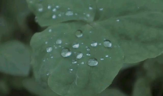 |烟雨江南已散尽，晴空万里无云