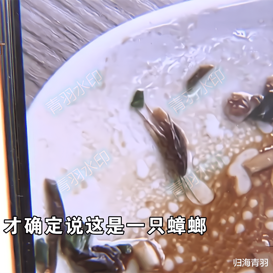 葱油拌面里吃到蟑螂后,男子直接索赔一千,商家:你去投诉我吧!