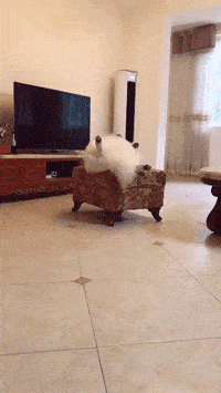 蔡少芬|港媒爆蔡少芬全家搬回香港,销售证实其300平复式豪宅急放租