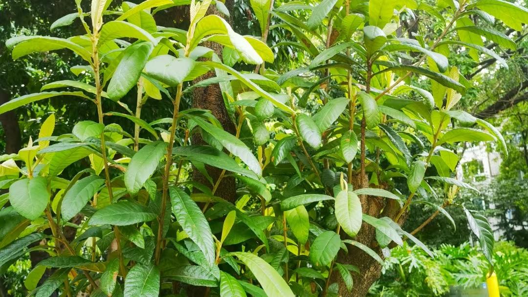 |短视频代运营的能做吗？