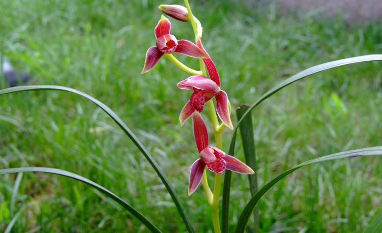 00后|有一种人，退休之后，没有朋友，亲情也看淡了