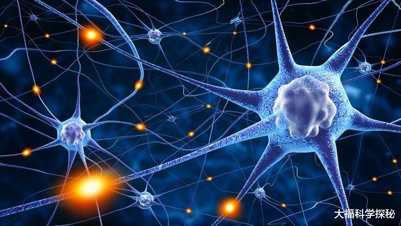宇宙是一个巨大生物?列举宇宙多项和人体相似的特点,不只是巧合