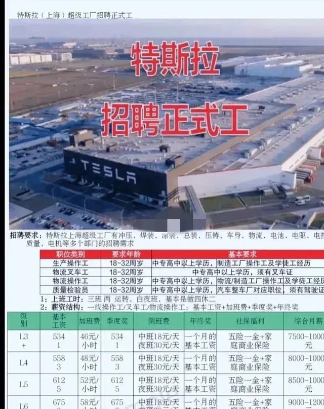 |平淡接地气,特斯拉普工招聘被挤爆,给职业教育带来的启示