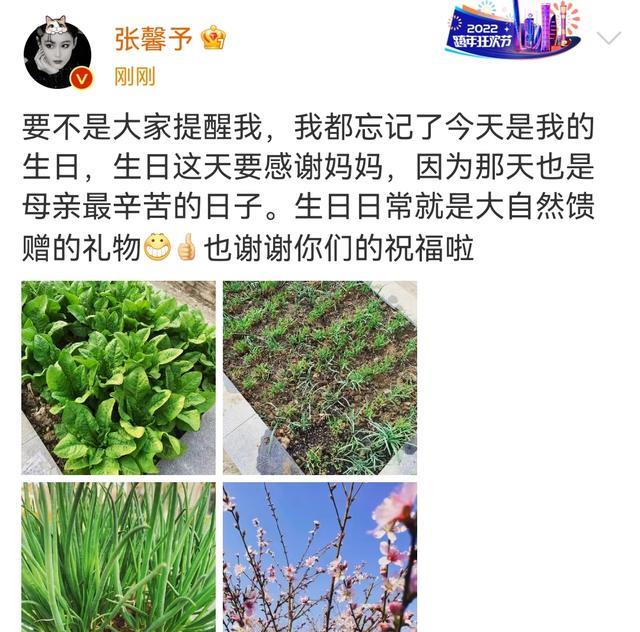 张馨予|张馨予为自己庆生画风清奇，晒自家菜园不忘感谢妈妈