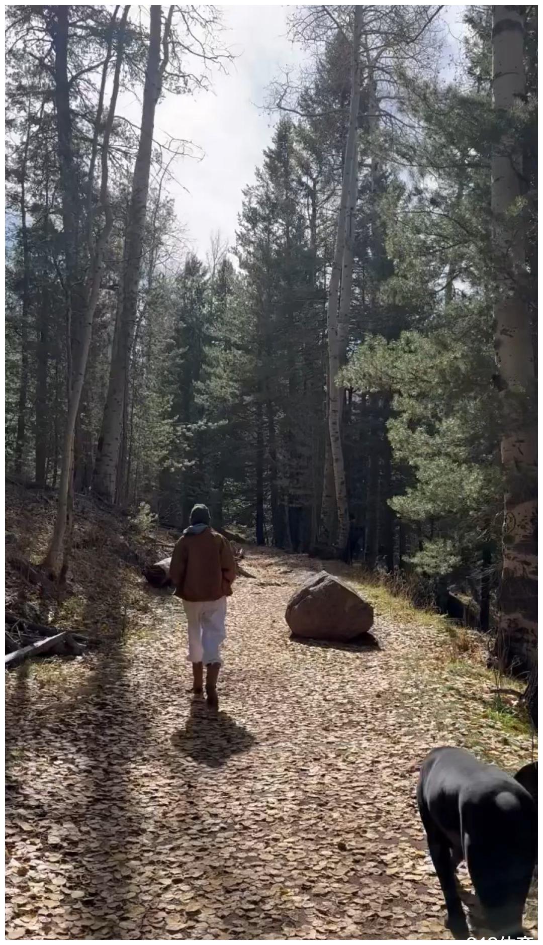 肯达尔·詹娜|你有戒指我有詹娜! 布克携女友肯豆森林漫步, 生猛爱犬尾随护驾