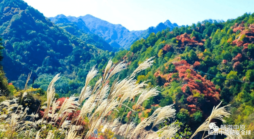 长沙|这个秋天，与您邂逅亿年仙宫鸡冠洞！（原创）