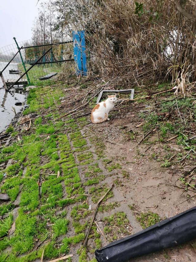 |万物萌动春已至，垂钓正当时！