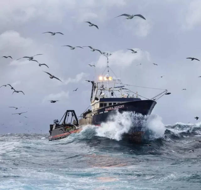 帝王蟹|【最危险的工作】一年只工作5天,年收入10万美元,你敢来吗?