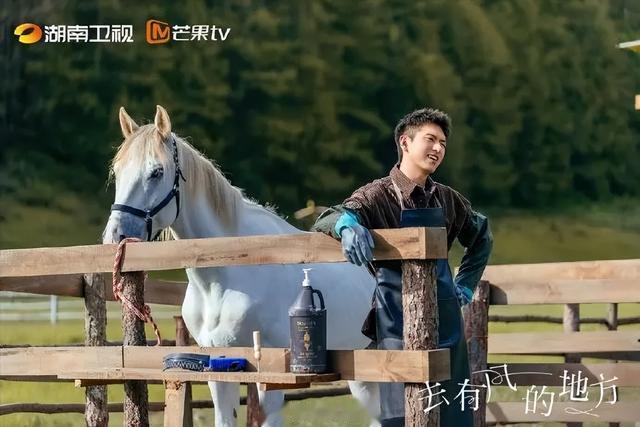 刘亦菲|刘亦菲又一新剧开播成黑马,全员都是实力派,湖南卫视抽到王炸了