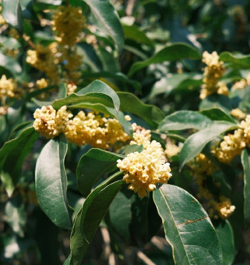 运动|杭州男子一个自信操作，结果路都走不了！最近很多人想“填坑”，但这事真急不得...