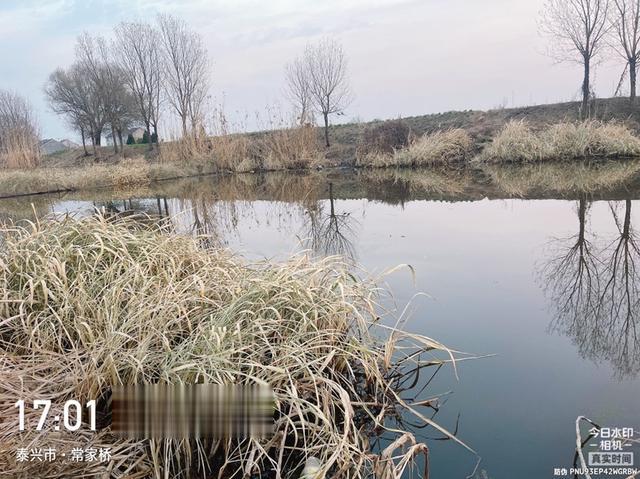 |长杆找鱼,谁知鱼儿就在跟前
