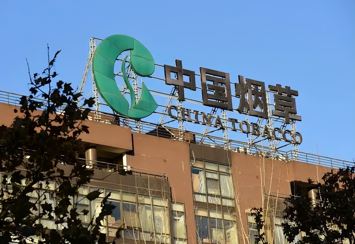 国企|国企年年招贤纳士,为啥依旧有学生挤不进去?原因很现实