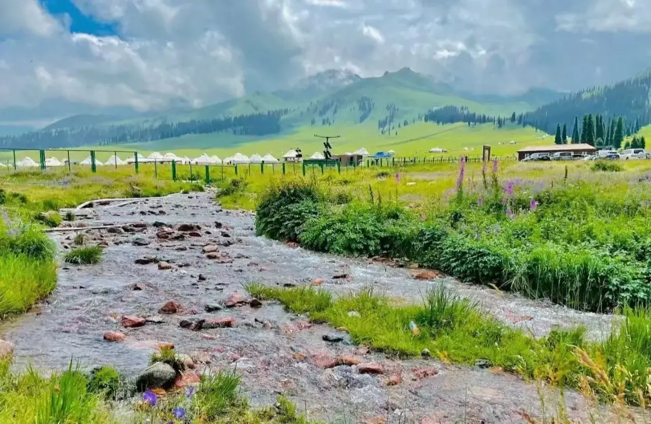 草原|一起享受大自然的美