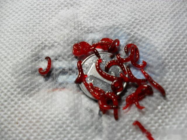 |冰钓开始盛行,冰钓需要注意啥?