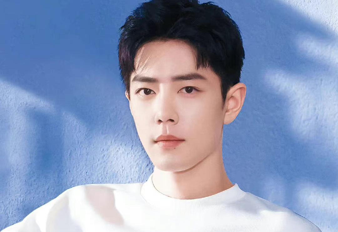 肖战|《中国新闻网》官宣肖战崭新荣誉,入围电视类“官奖”,造就爆款