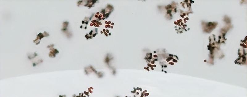 科学家已瞄准金星,未来可能揭开诸多谜团,为何金星如此吸引人?