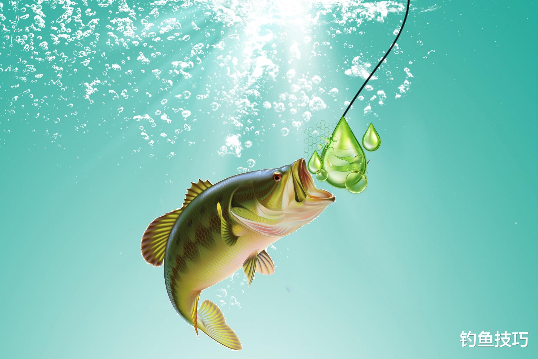 |哪种钓鱼小药效果好？什么人适合用钓鱼小药？钓鱼小药的使用技巧