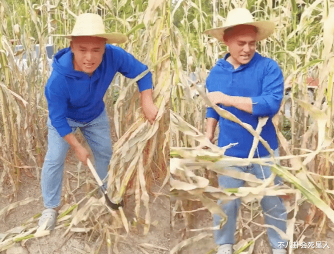 明星|金窝都不如自己老窝！5位明星乡下养老，务农、摆摊还有人建别墅