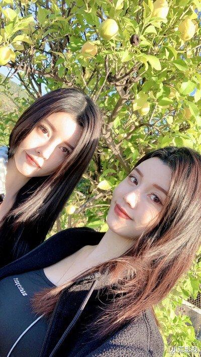 黄圣依|陈飞宇，黄圣依，昆凌，张庭，黄晓明，黄磊，沈梦辰！