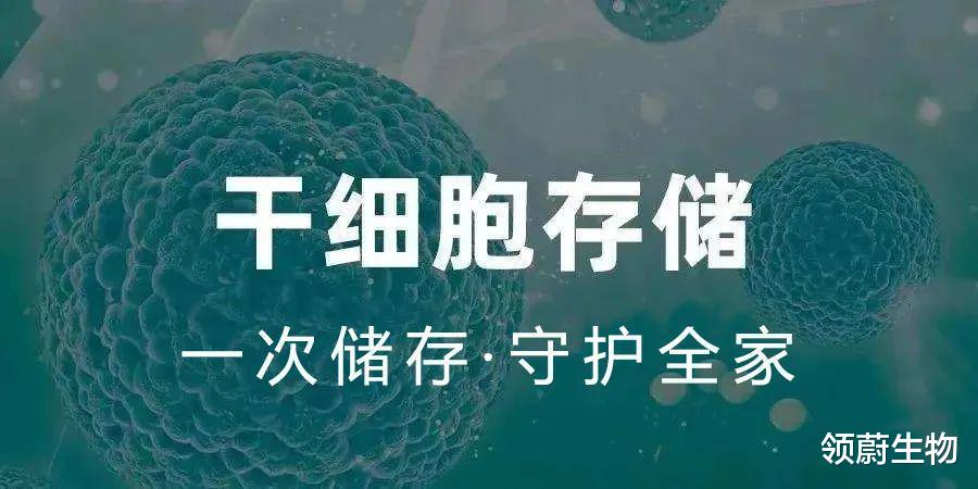 干细胞储存成热潮,到底是“智商税”还是造福人类的新希望?