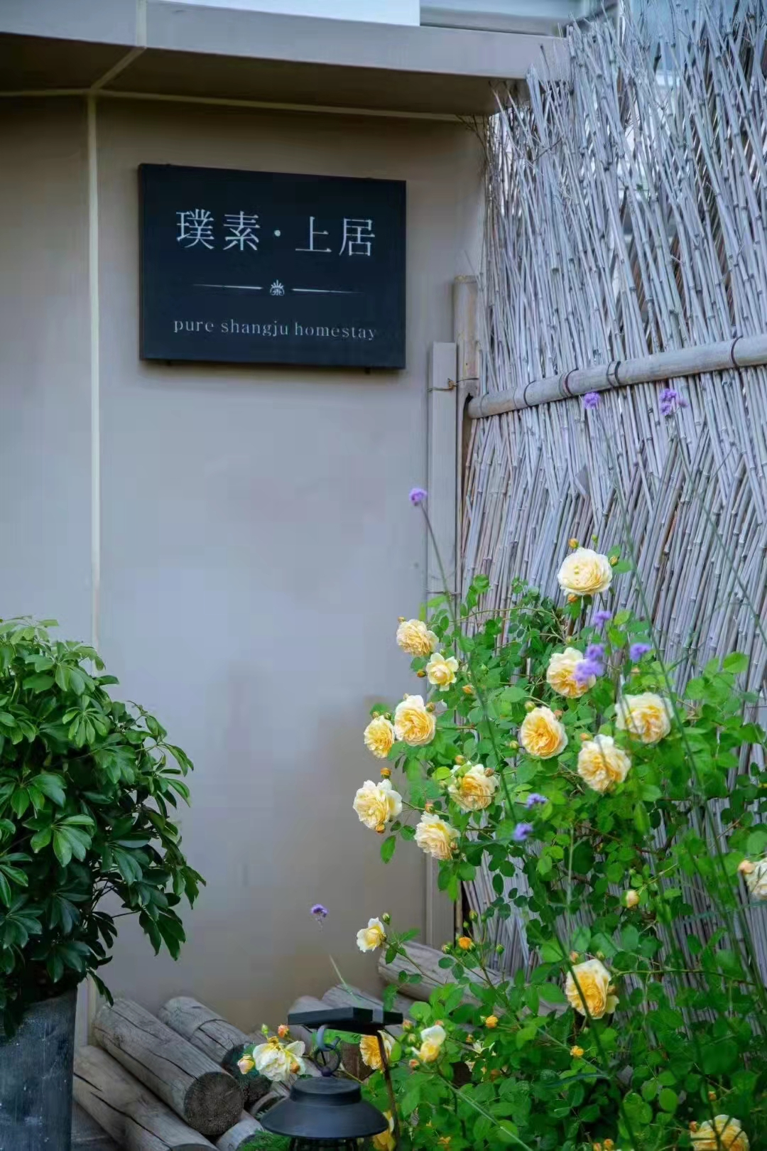 上海市|一座小院，惊艳了时光，温暖了岁月