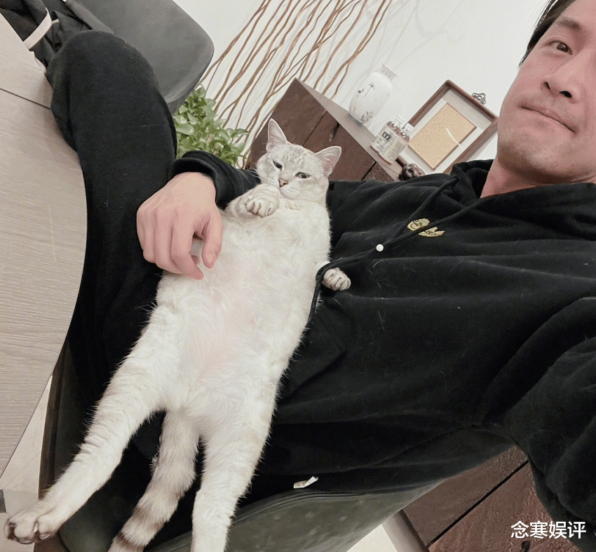 胡歌|胡歌宣布隐婚生女惹争议，遭大V痛批戏子误国，压了胡鑫宇的热度