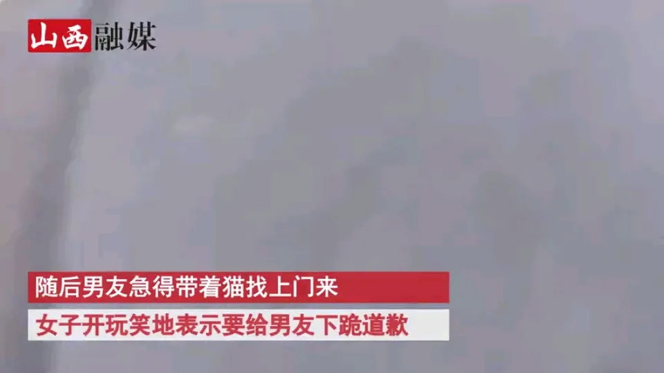 “我给你跪下了!”河北一男生领证当天被放鸽子,打电话两个小时无人接,女友态度亮了
