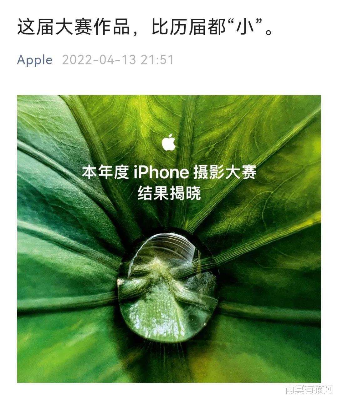 iPhone|现在抢首发，是真猛男还是冤大头？
