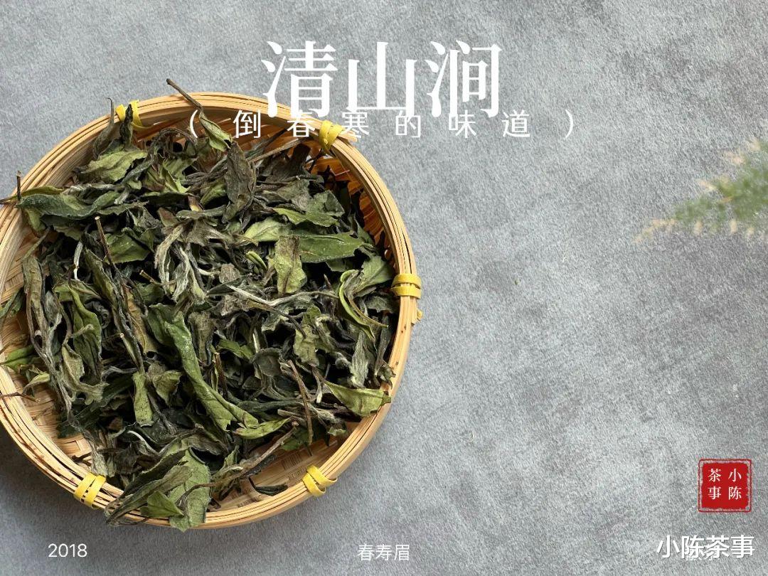 黑褐色老白茶是做旧的，那么绿茶和咖啡色呢？扒一扒老白茶的真相
