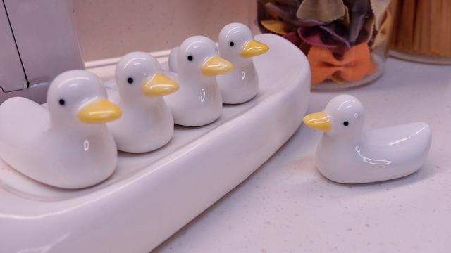 35岁女主晒独居小家,引无数网友羡慕:婚姻不是唯一选择!