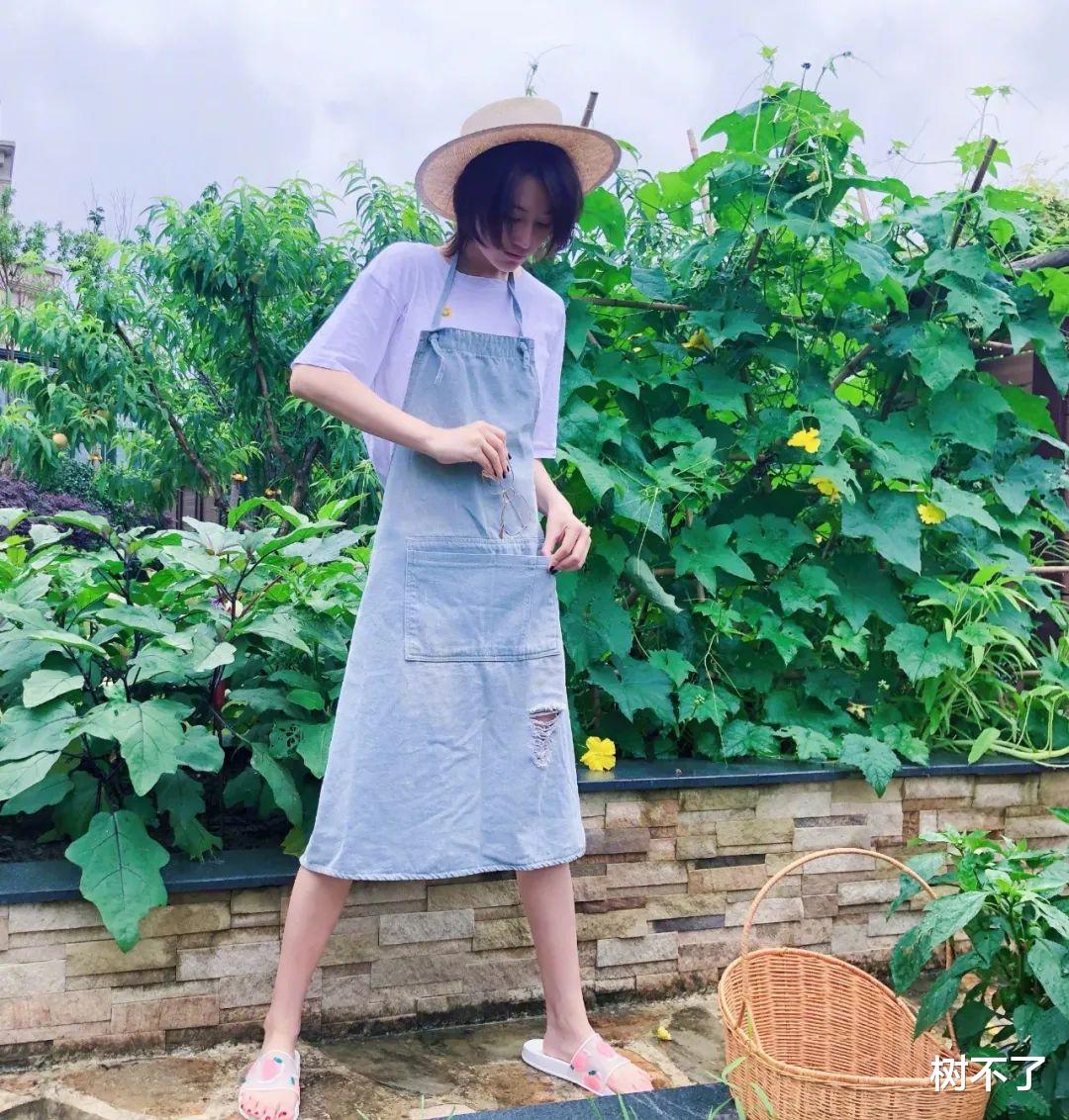 张馨予|离开李晨8年后，她凭借4000万后花园再度翻红：我再也不羡慕李子柒了！