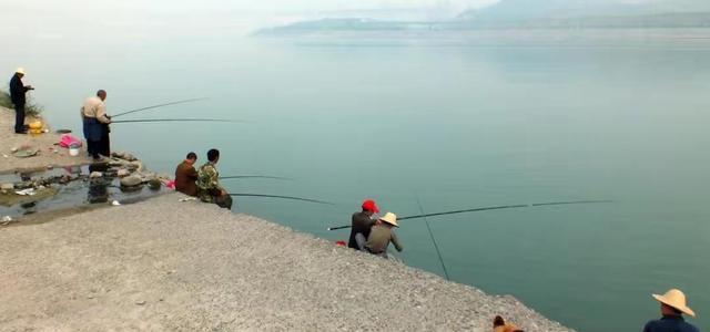 货车|太惨了！河南钓友在河边钓鱼时，货车从天而降，钓友们长点心吧