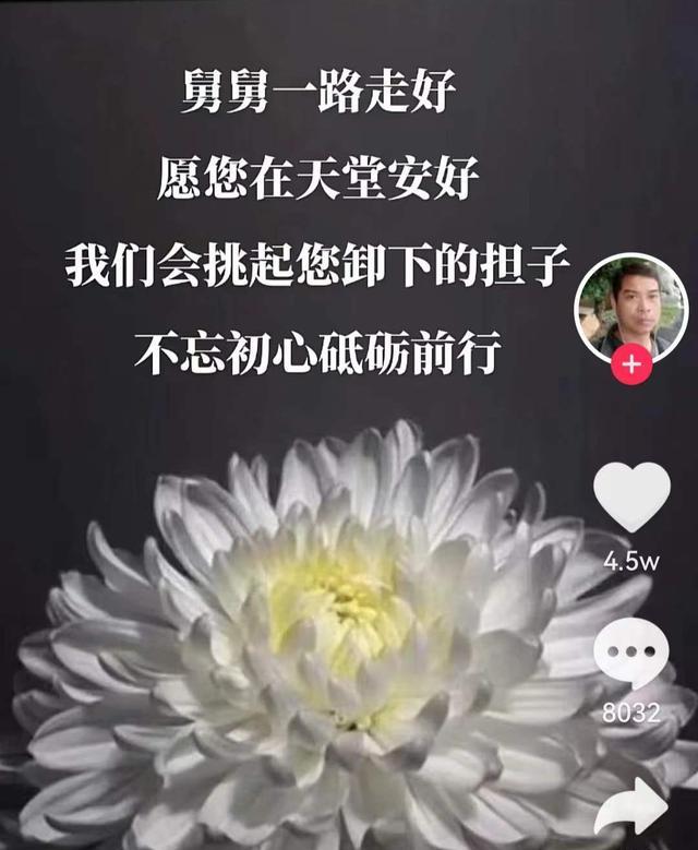 许敏|查找真相已倒下5人,姚家男儿接棒许舅,潘克:反手回击质量不错