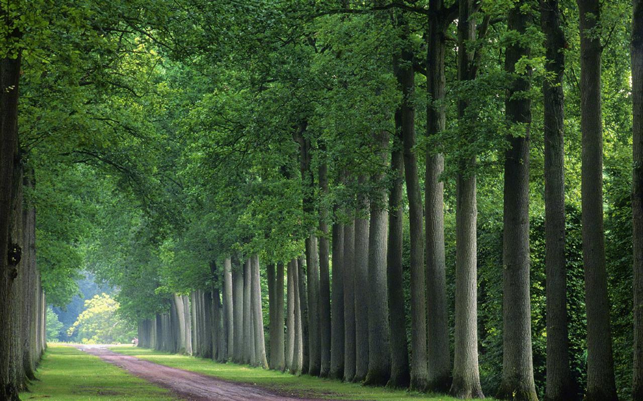 |我们忙着吵架,忙着工作却忘了一路的艰辛!