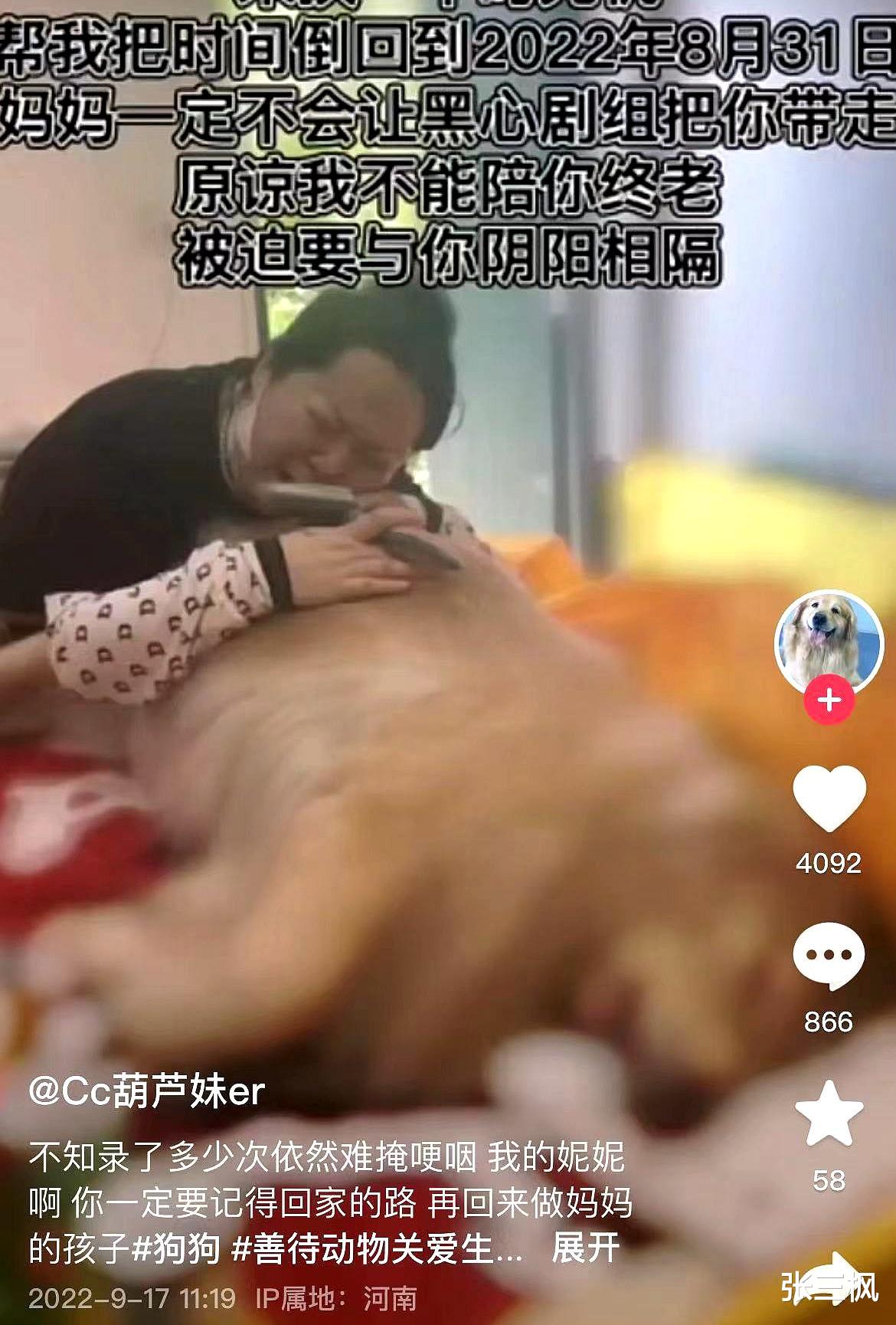 宠物医院|网友借爱犬给剧组拍摄却离奇死亡，嘴里都是泥沙跟血，剧方回应了