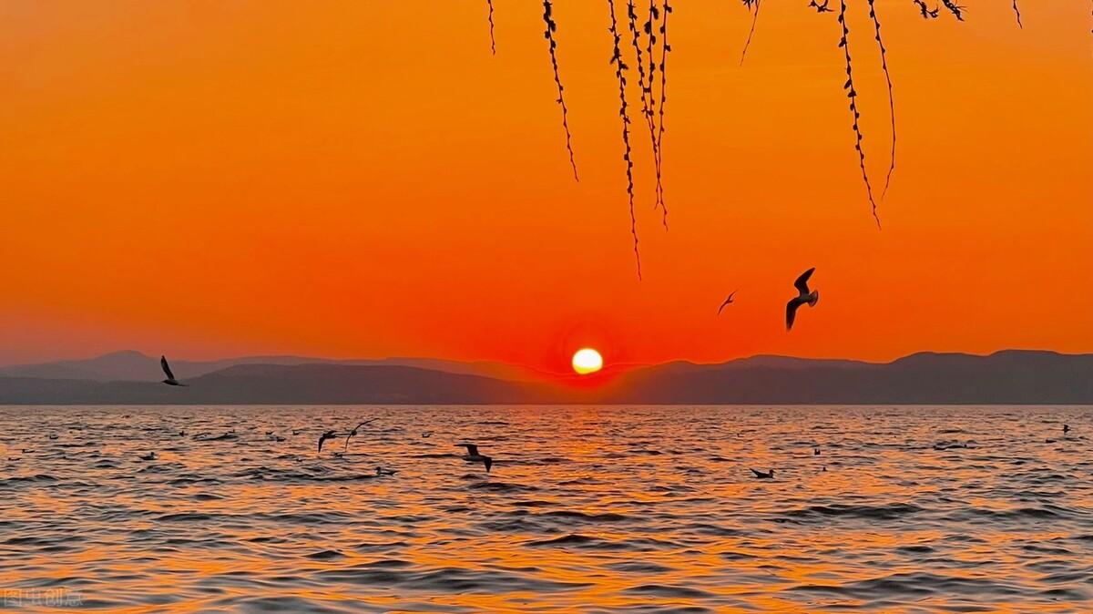 滕州|郭进拴|雨中游滇池