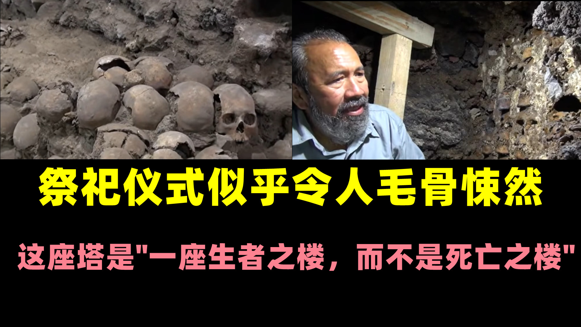 考古学家在墨西哥城发现了一堵由 119 个头骨组成的墙