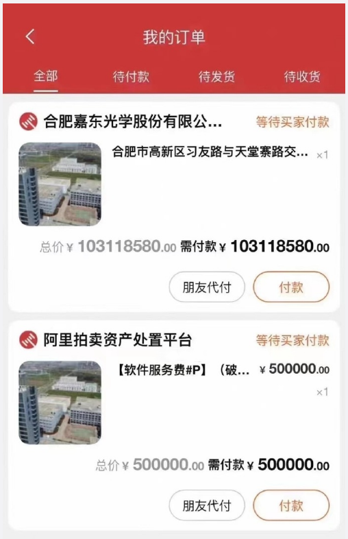 粉丝破亿网红 豪掷1.03亿拍下法拍房！血赚1千万 真香...
