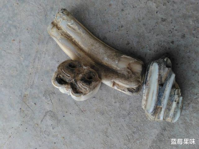 在6500万年前,恐龙毁灭时有多痛苦?2公里厚的岩层告诉你