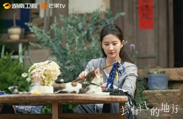 大理|电视剧《去有风的地方》取景地,大理又火了,网友:像宣传片