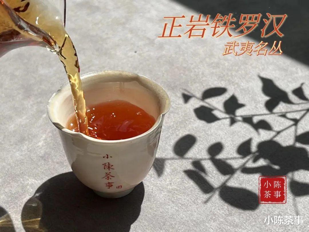 追光2023年，喝武夷岩茶时不能遗忘的10件“小事”，轻松喝好岩茶