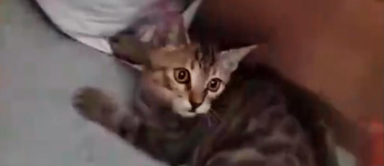 |男子暴晒1天钓了条鱼,刚到家就被偷走,网友却花50元买下送给贼