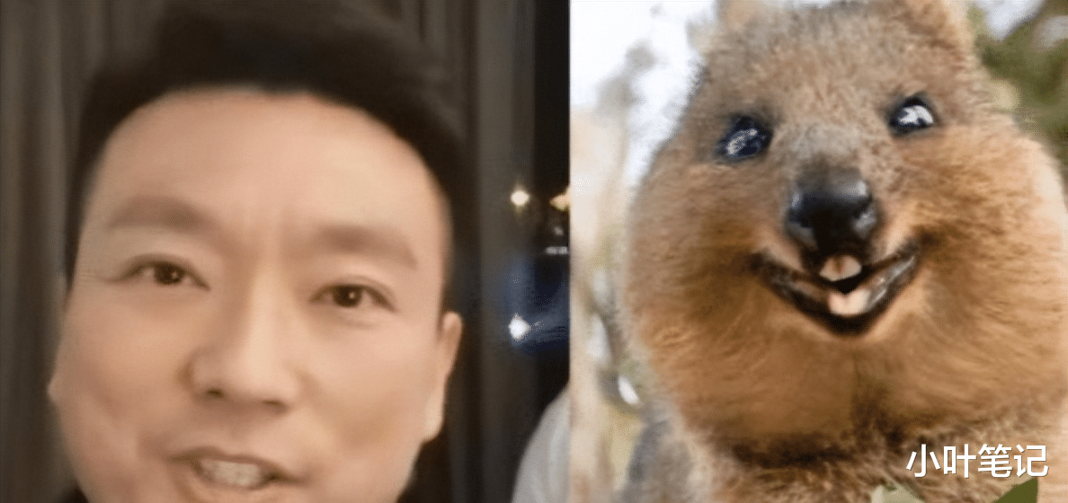 “为了卖房，开发商推出人体沙盘，有点毁三观”挺好看